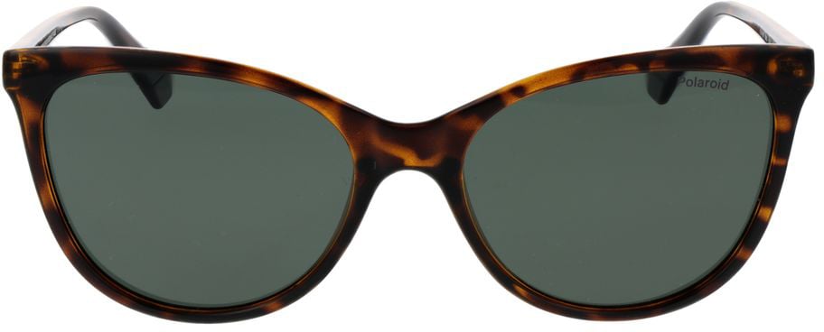 Polaroid Brown Plastic Sunglasses Bruin