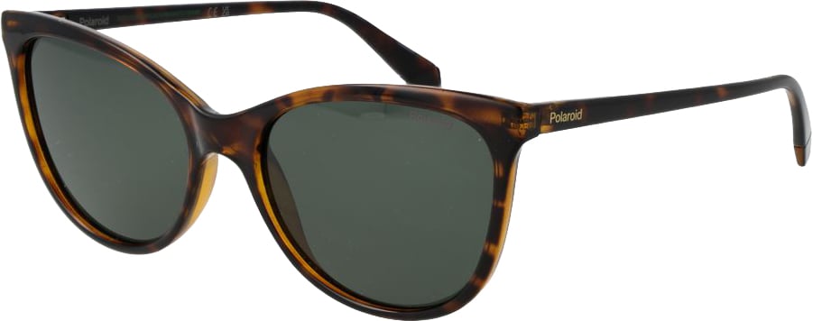 Polaroid Brown Plastic Sunglasses Bruin