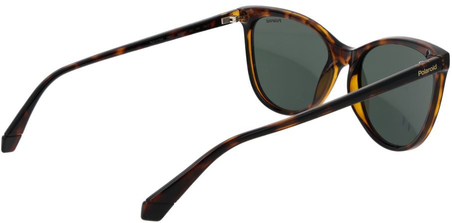 Polaroid Brown Plastic Sunglasses Bruin