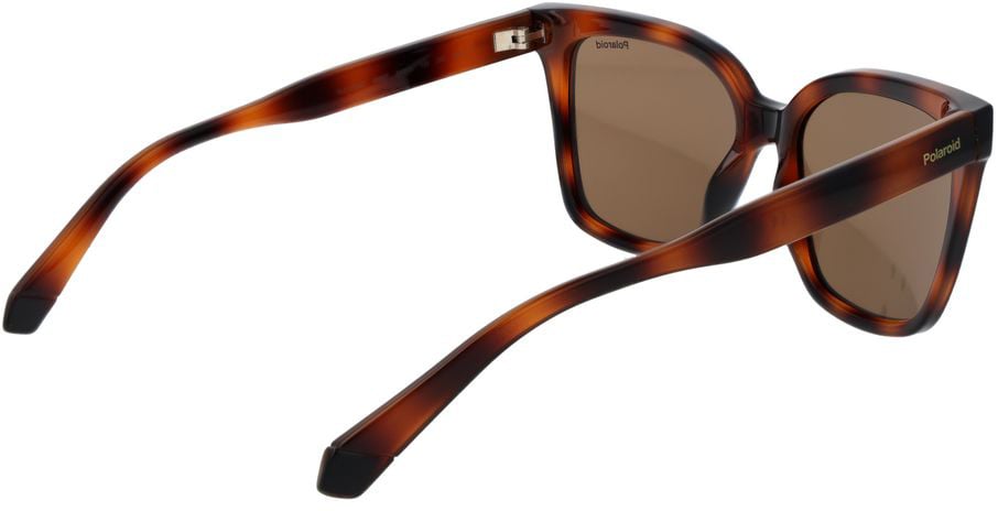 Polaroid Brown Plastic Sunglasses Bruin
