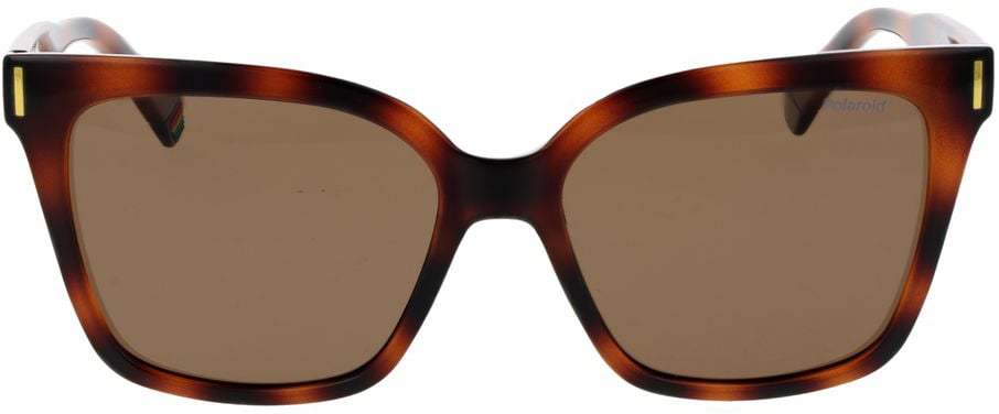 Polaroid Brown Plastic Sunglasses Bruin