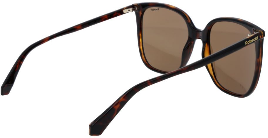 Polaroid Brown Plastic Sunglasses Bruin