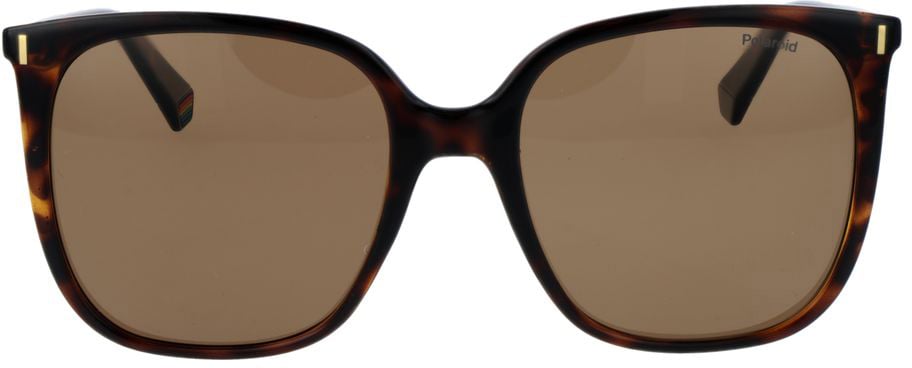 Polaroid Brown Plastic Sunglasses Bruin