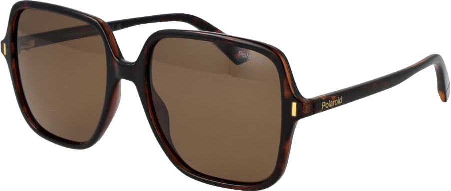 Polaroid Brown Plastic Sunglasses Bruin