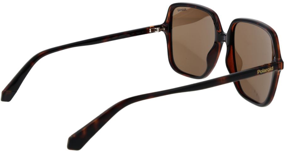 Polaroid Brown Plastic Sunglasses Bruin