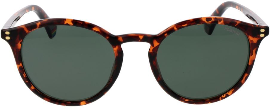 Polaroid Brown Plastic Sunglasses Bruin