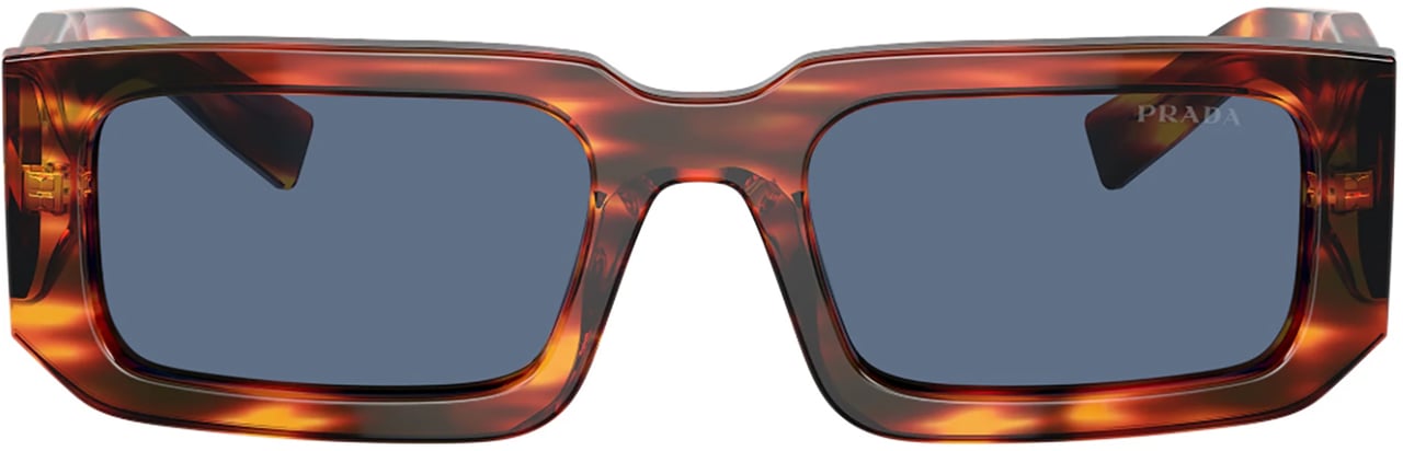 Prada Prada Linea Rossa 06YS SOLE Bruin