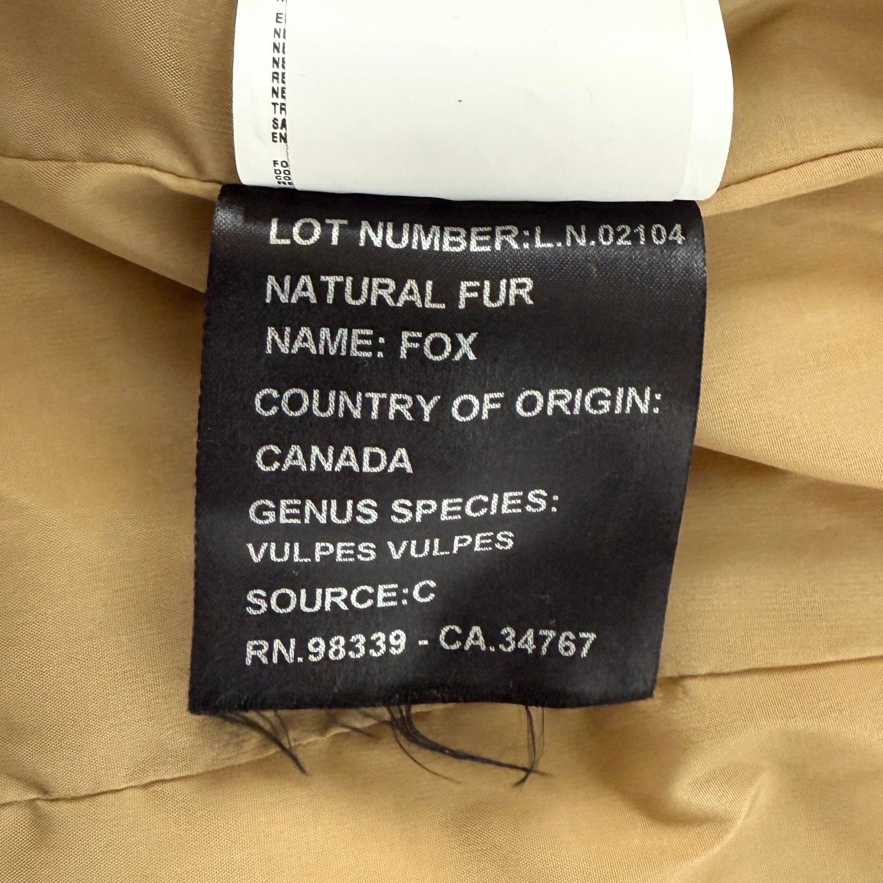 Prada Prada Daunenjacke Größe 44 Beige / sehr gut Beige