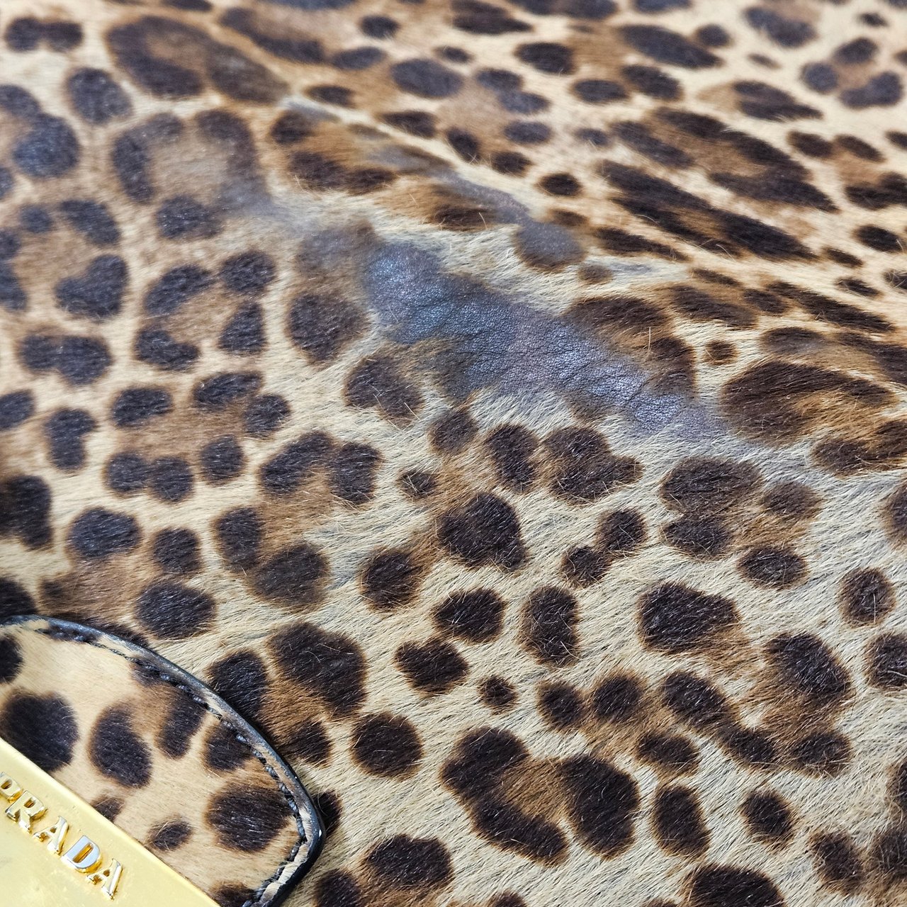 Prada Cavallino Hair Animal Print Leopard Double Flap Shoulder Bag Bruin