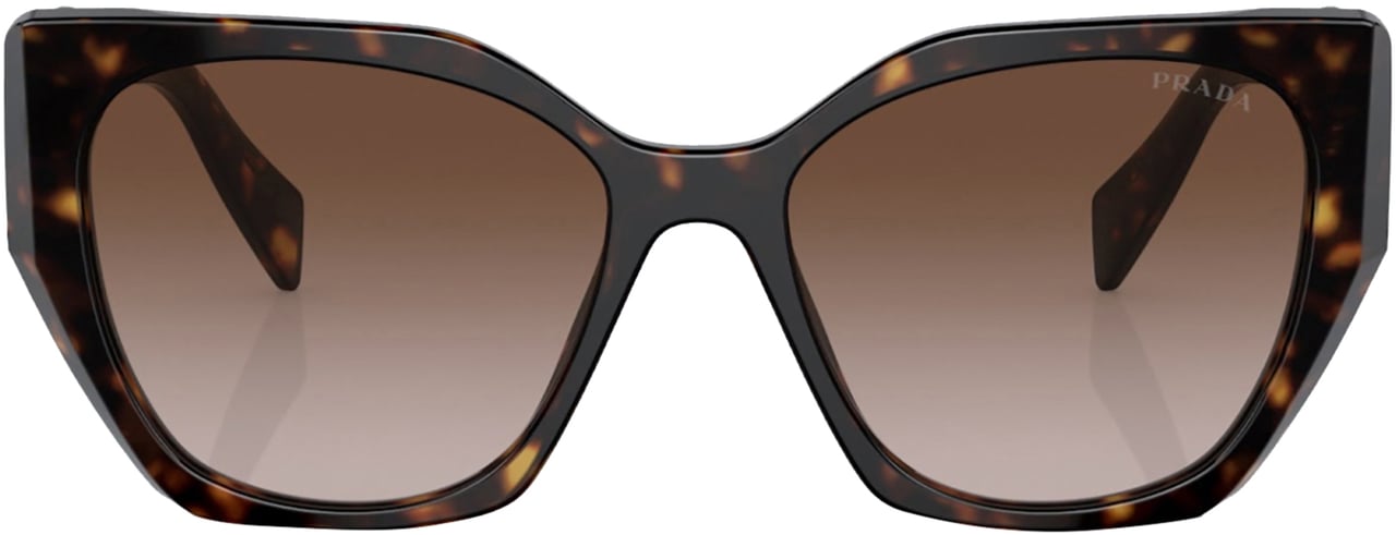 Prada Prada 19ZS SOLE Bruin