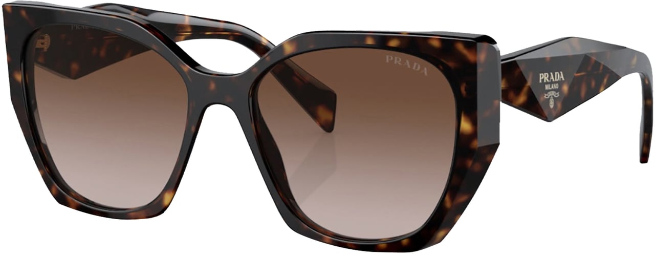 Prada Prada 19ZS SOLE Bruin