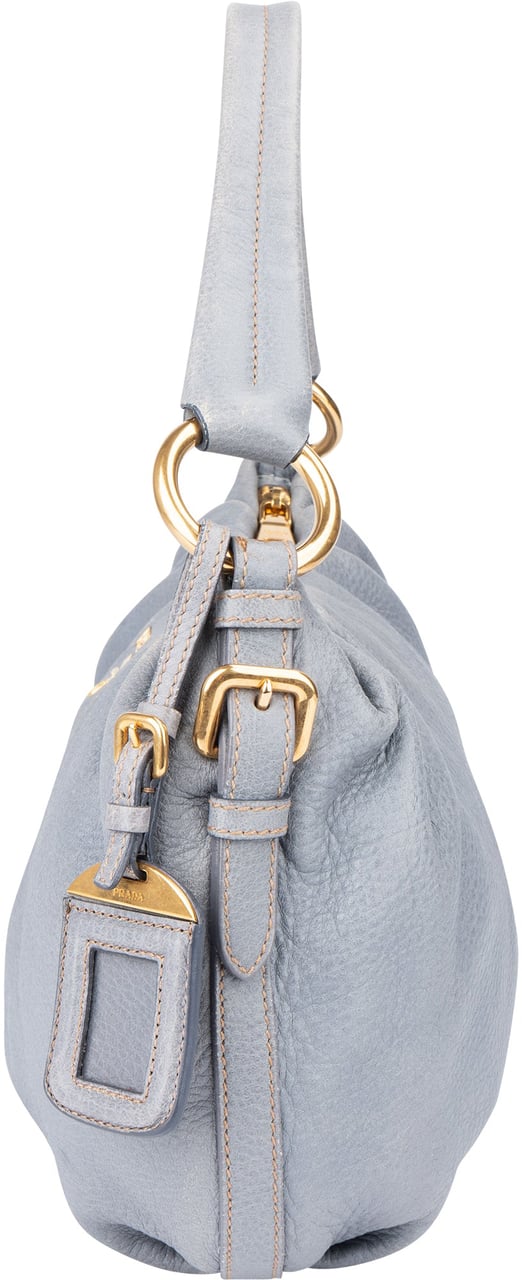 Prada Prada Cervo Lux Leather Chain Handbag Blauw