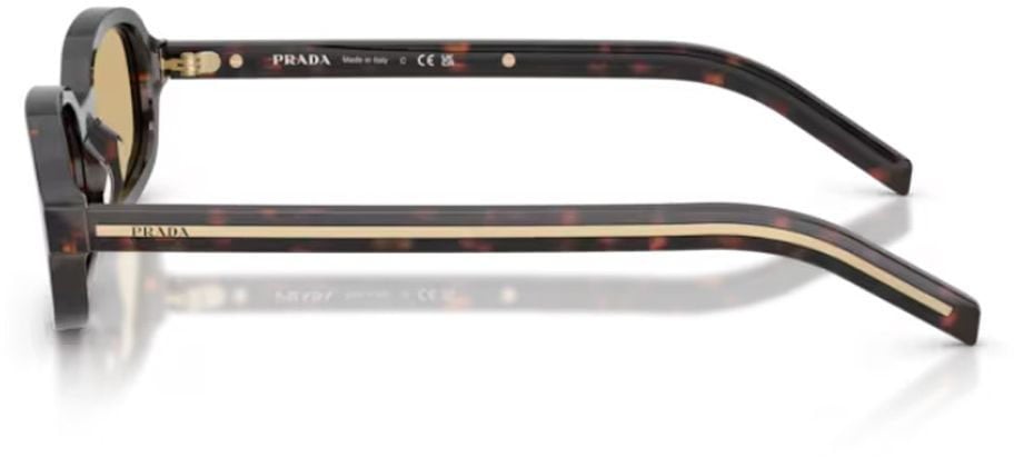 Prada Root Tortoiseshell PR D06S Sunglasses Neutraal