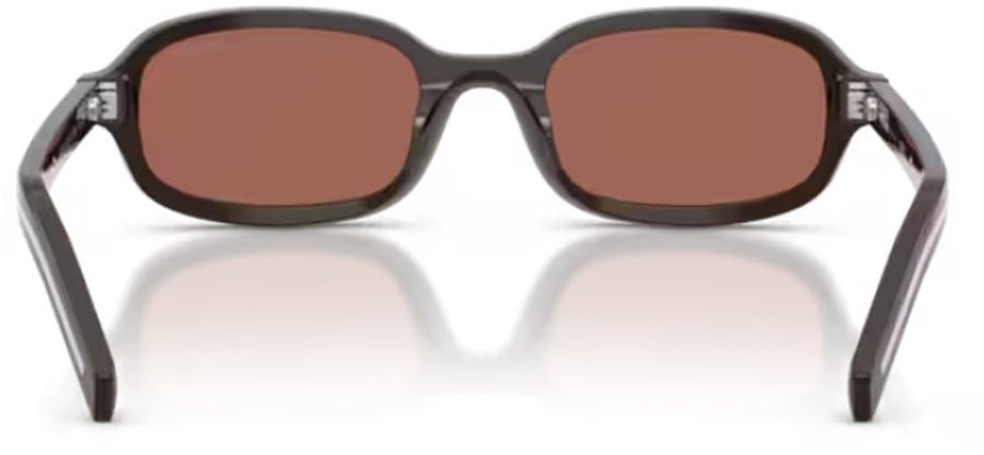Prada Cigar PR D06S Oval Acetate Sunglasses Roze