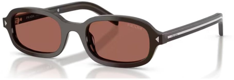 Prada Cigar PR D06S Oval Acetate Sunglasses Roze