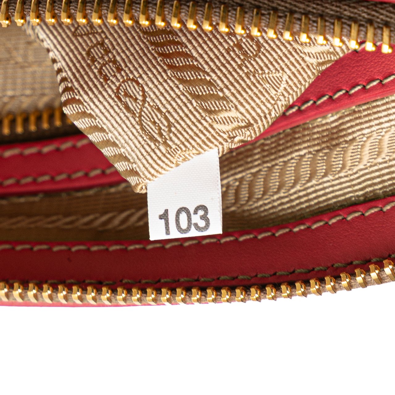 Prada Canvas Canapa Logo Bow Crossbody Bruin