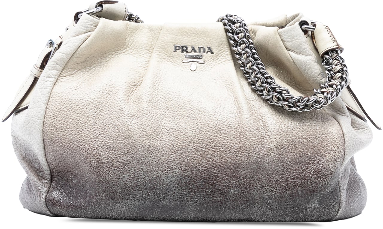 Prada Cervo Ombre Antik Chain Shoulder Bag Wit
