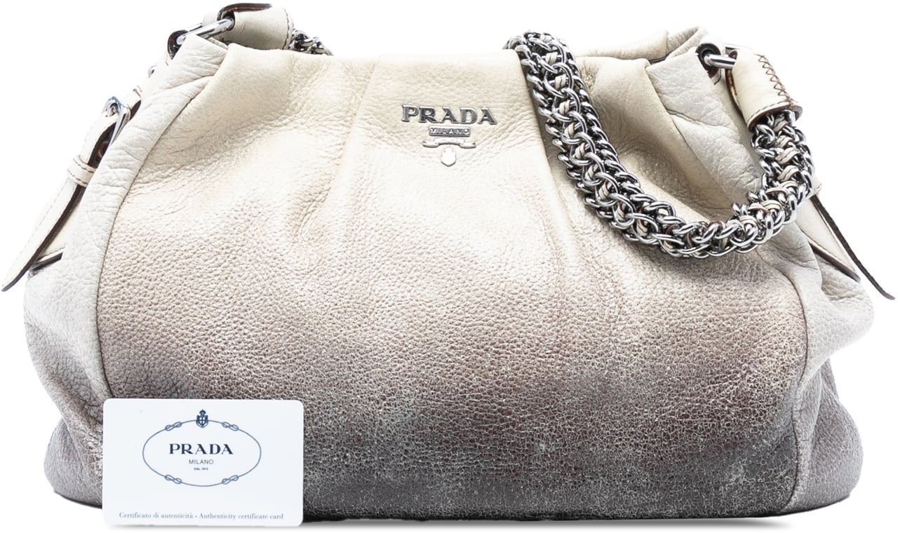 Prada Cervo Ombre Antik Chain Shoulder Bag Wit