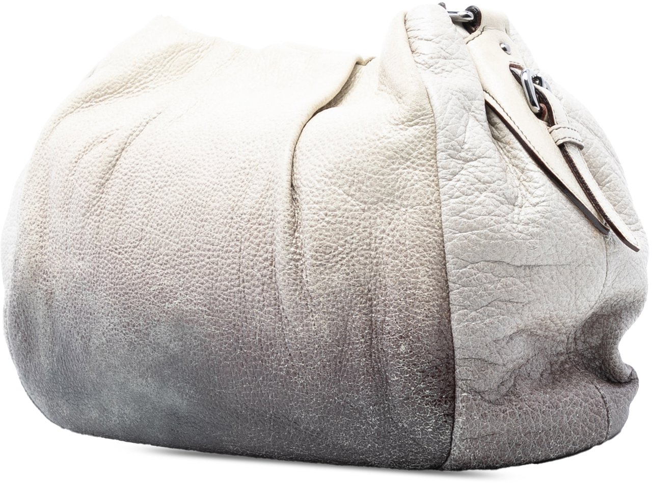 Prada Cervo Ombre Antik Chain Shoulder Bag Wit