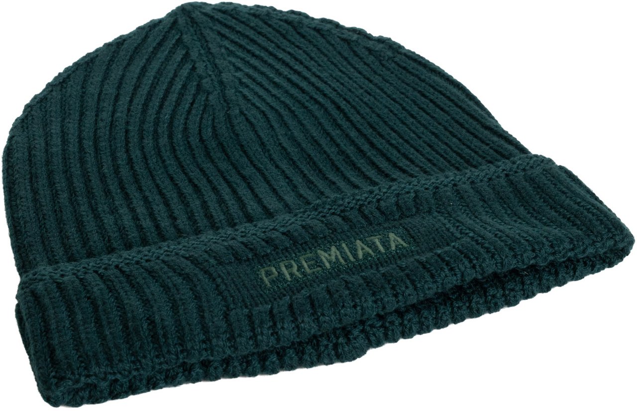Premiata Hats Green Groen