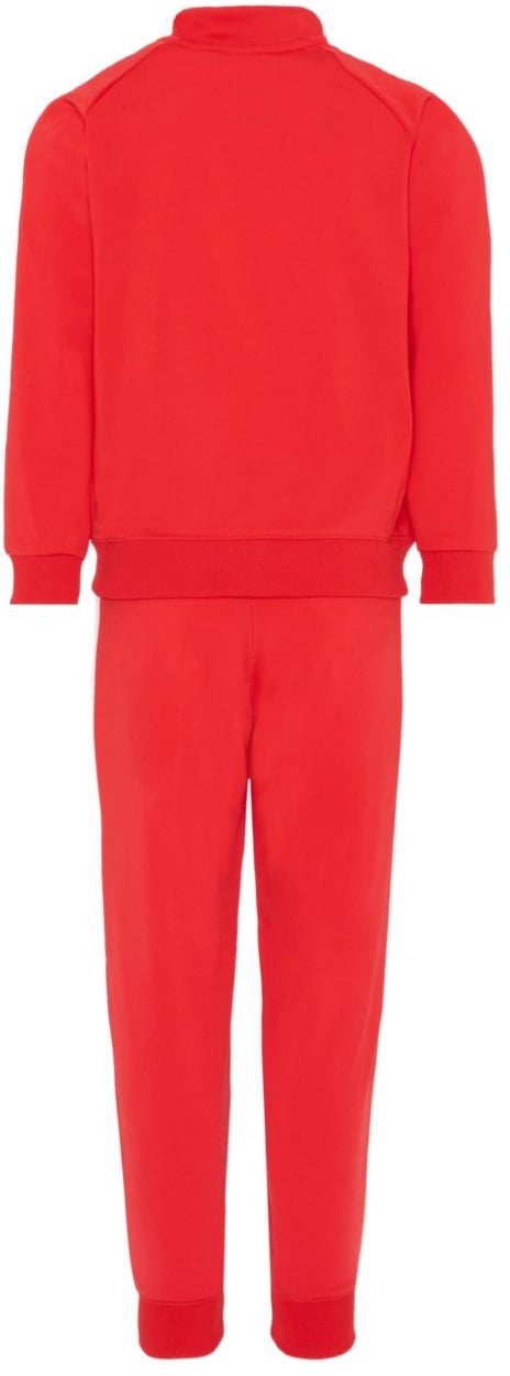 Puma Accessories Rosso Rood