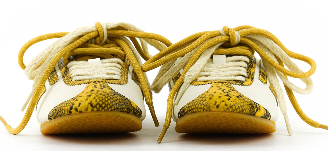 Puraai Lion Corn Wit