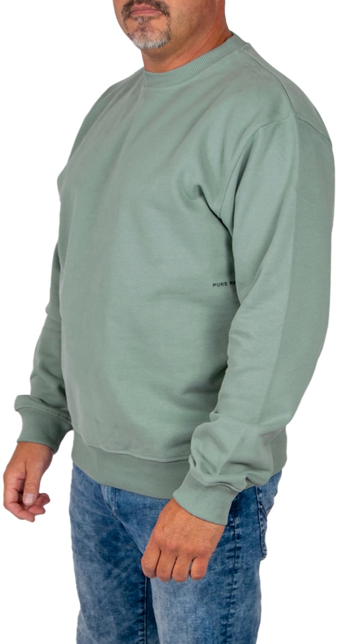 Pure Path Loose Fit Crewneck LS Sweaters Groen