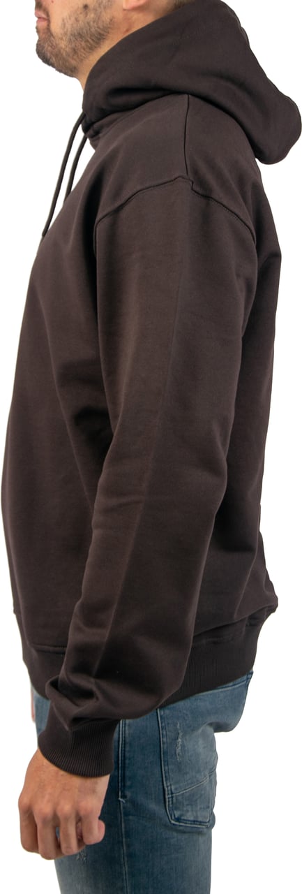 Pure Path Loose Fit Hoodie LS Sweaters Bruin