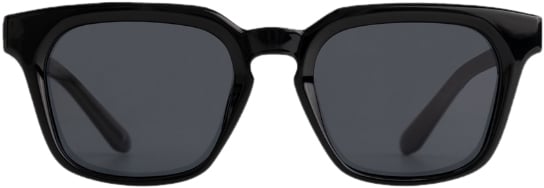 Pure Path Pure Path The Max Sunglasses Zwart