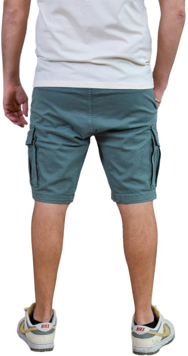 Pure Path Garment Dye Cargo Short Groen