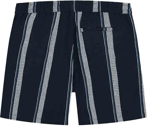 Pure Path Regular Fit Casual Shorts Blauw