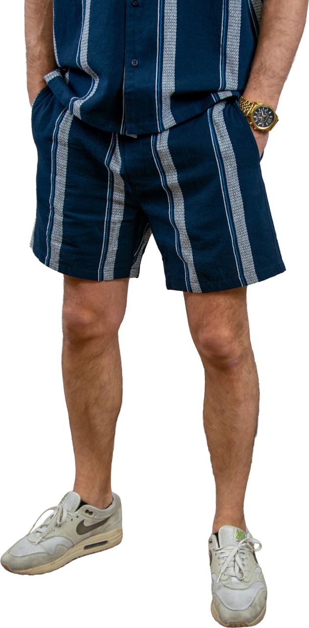 Pure Path Regular Fit Casual Shorts Blauw