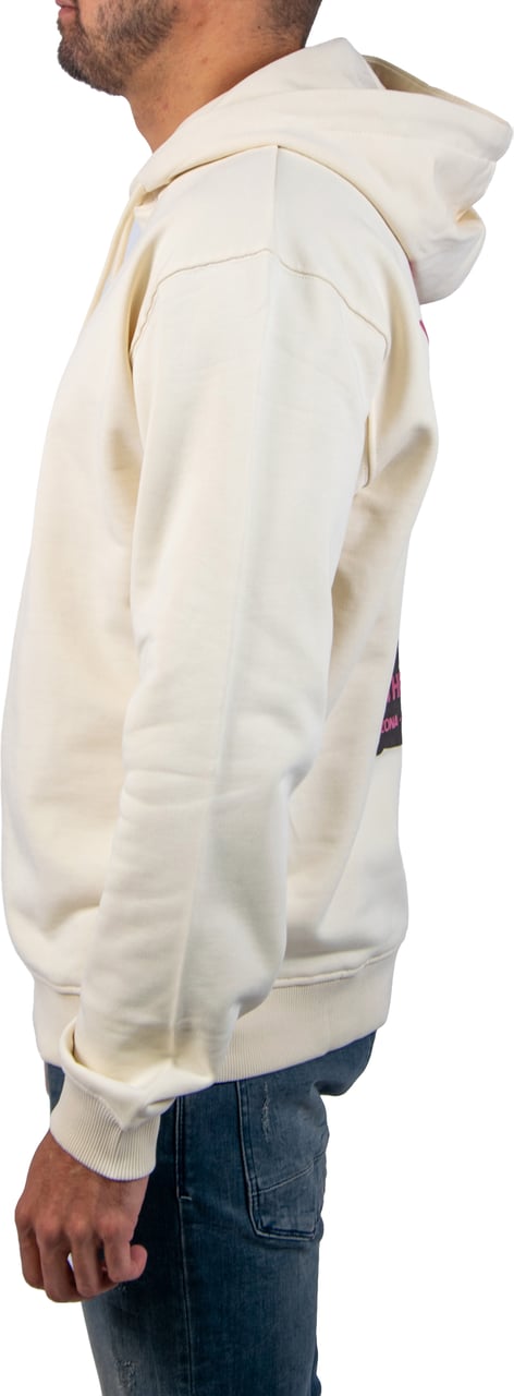 Pure Path Loose Fit Hoodie LS Sweaters Beige