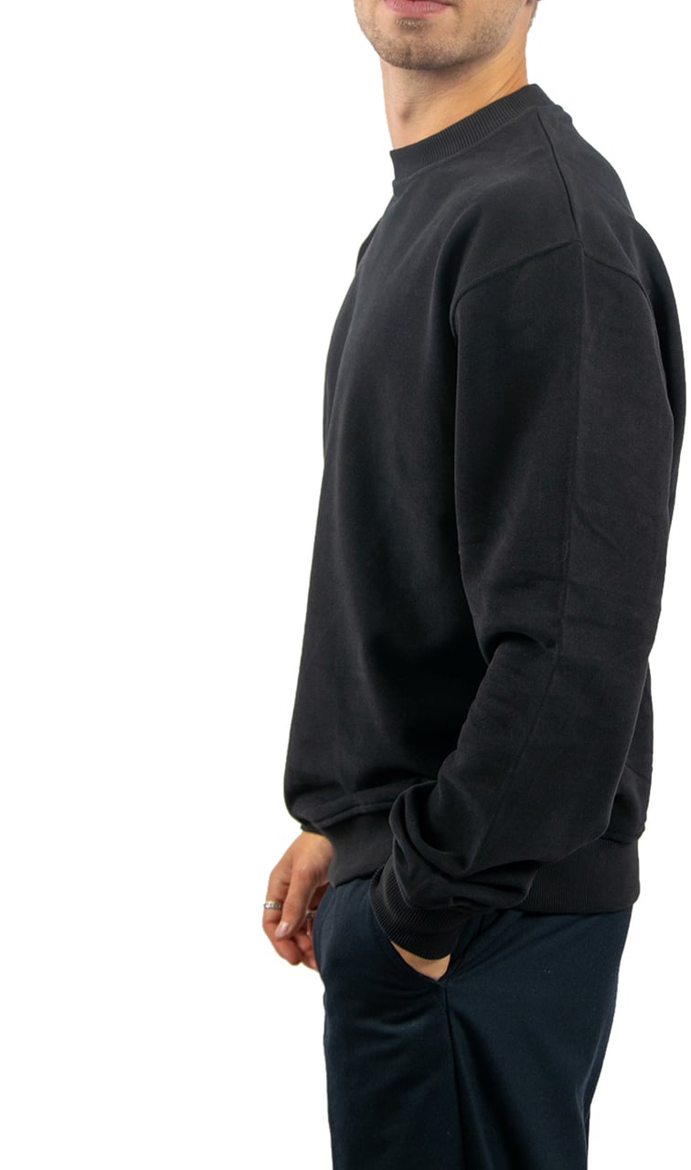 Pure Path Loose Fit Crewneck LS Sweaters Zwart