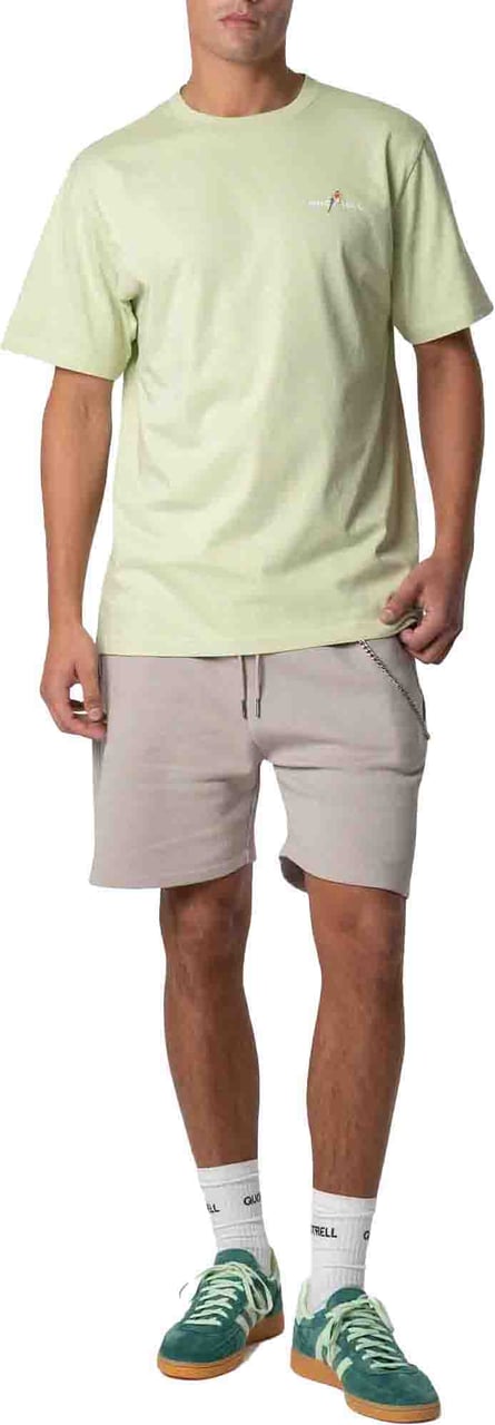Quotrell Resort Tee | Light Green/white Grijs