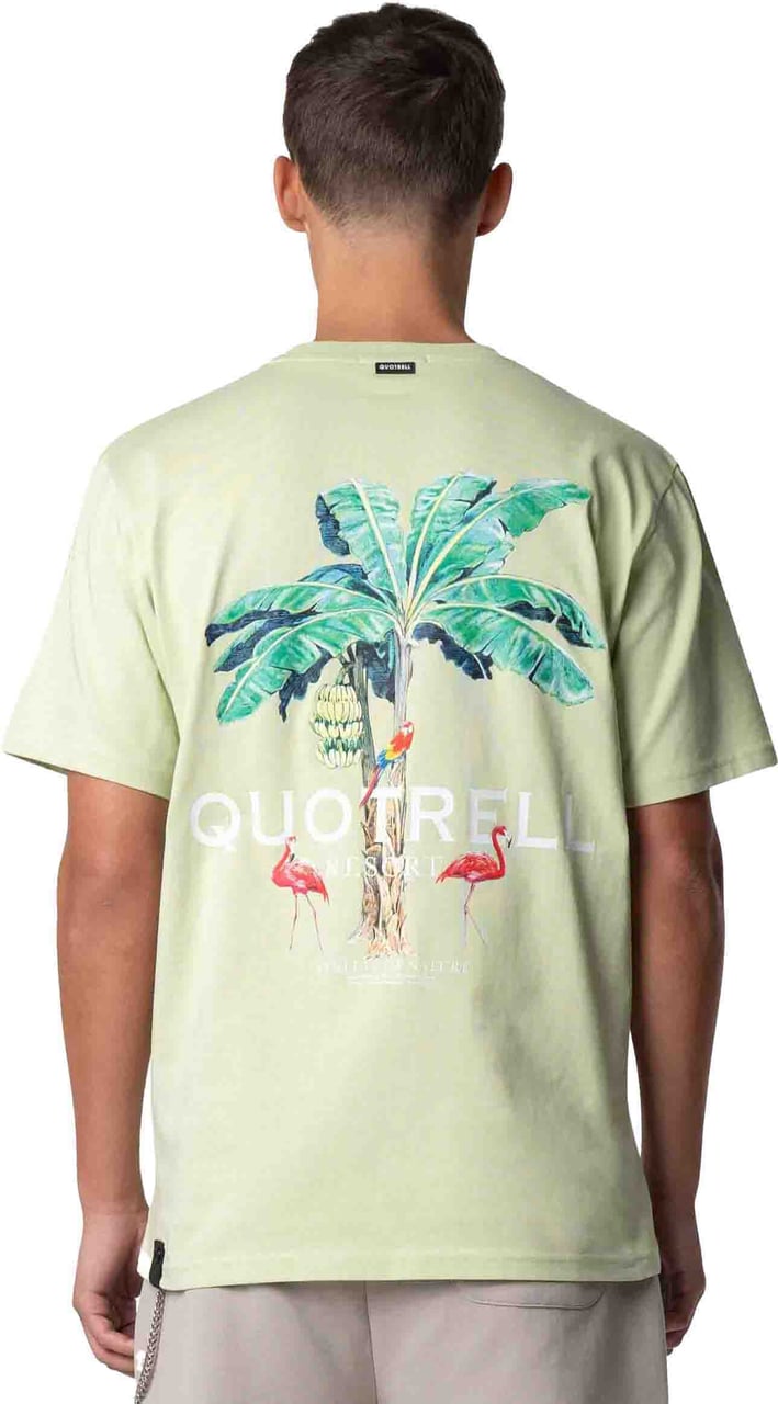 Quotrell Resort Tee | Light Green/white Grijs