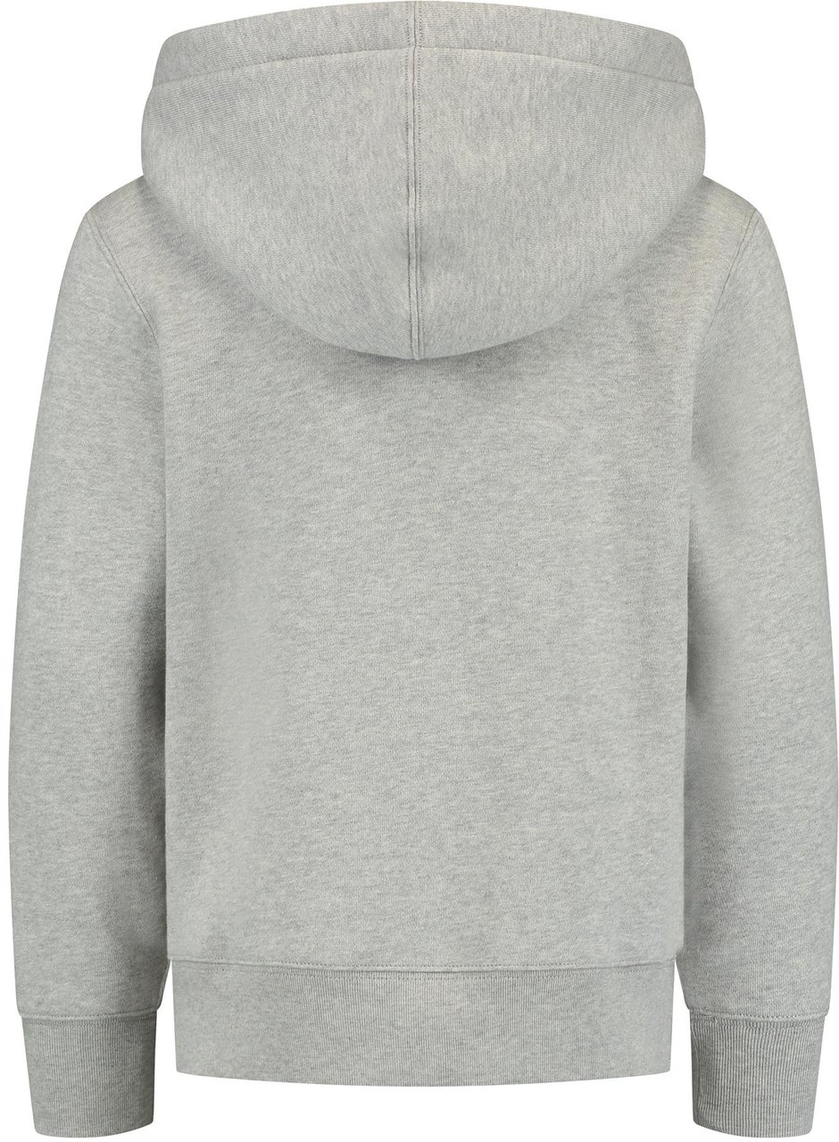 Ralph Lauren Hoodie Grijs