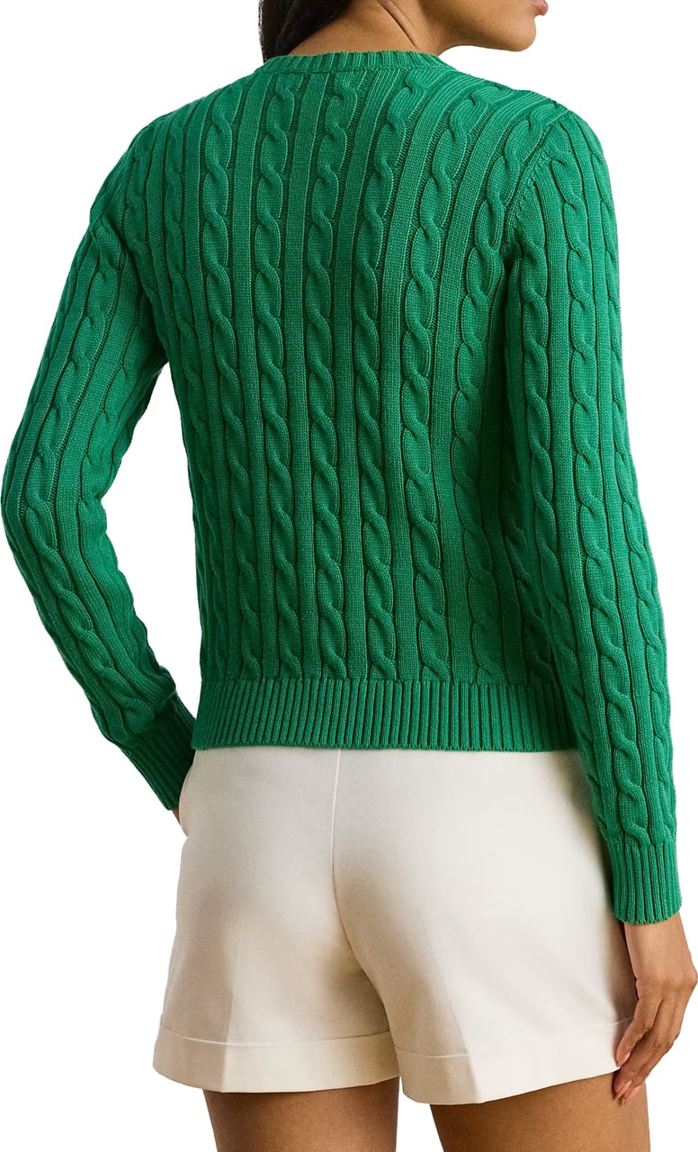 Ralph Lauren Sweaters Groen