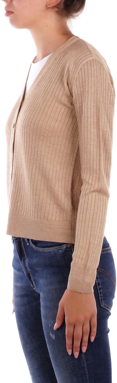 Ralph Lauren Sweaters Brown Bruin