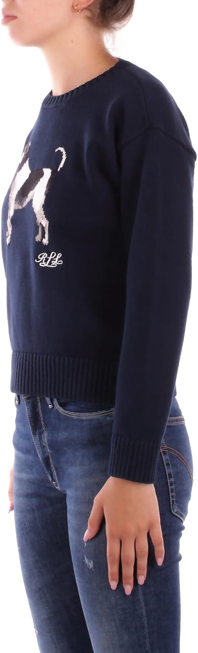 Ralph Lauren Sweaters Blue Blauw