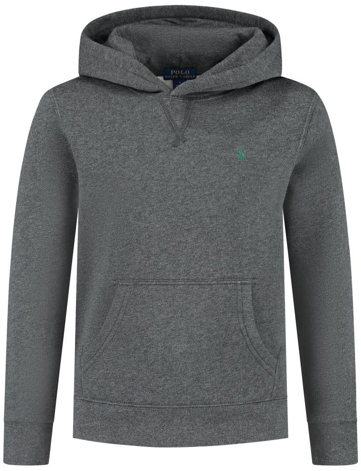 Ralph Lauren Ls Po Hood-tops-knit Grijs