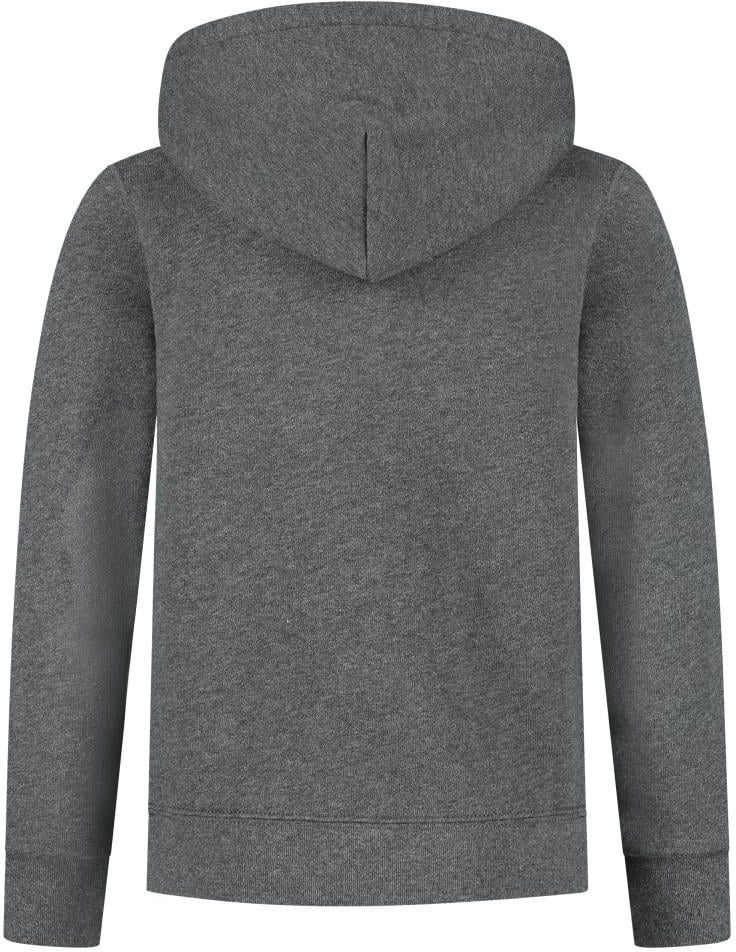 Ralph Lauren Ls Po Hood-tops-knit Grijs
