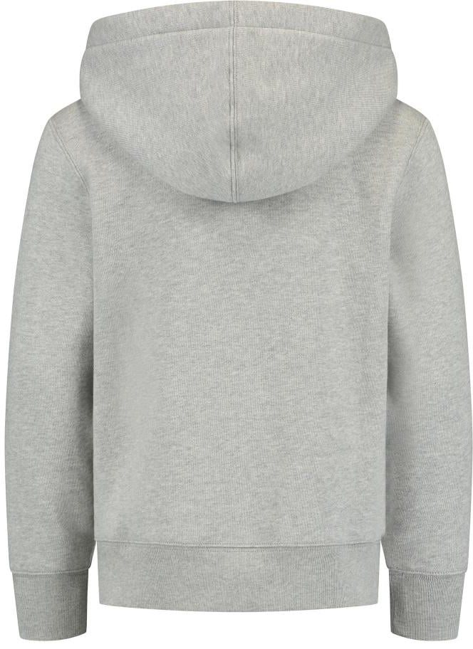 Ralph Lauren Ls Po Hood-tops-knit Grijs