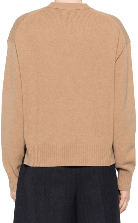 Ralph Lauren Ralph Lauren Maglie Marrone Bruin