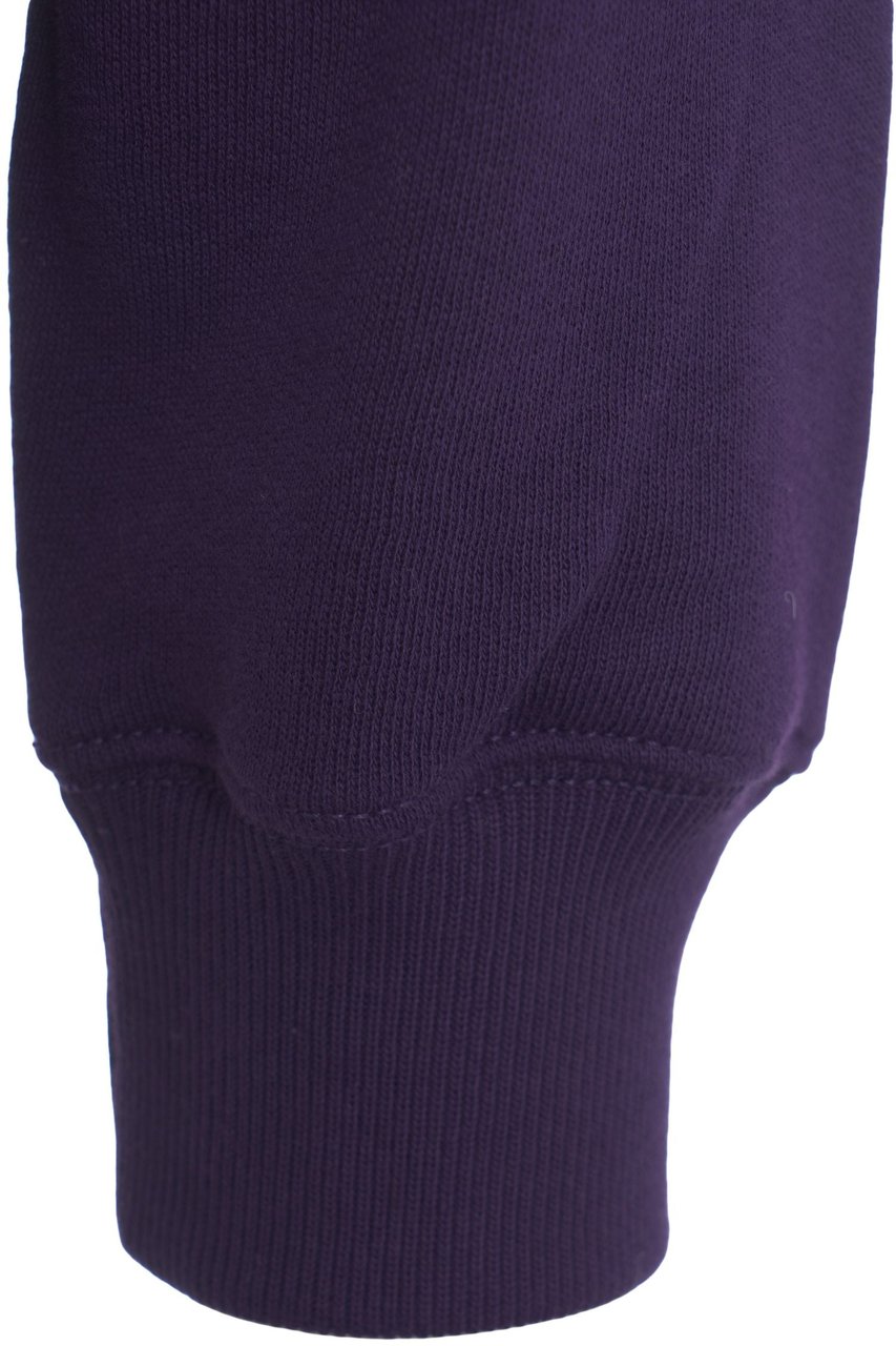 Ralph Lauren Hoodie with logo embroidery Paars