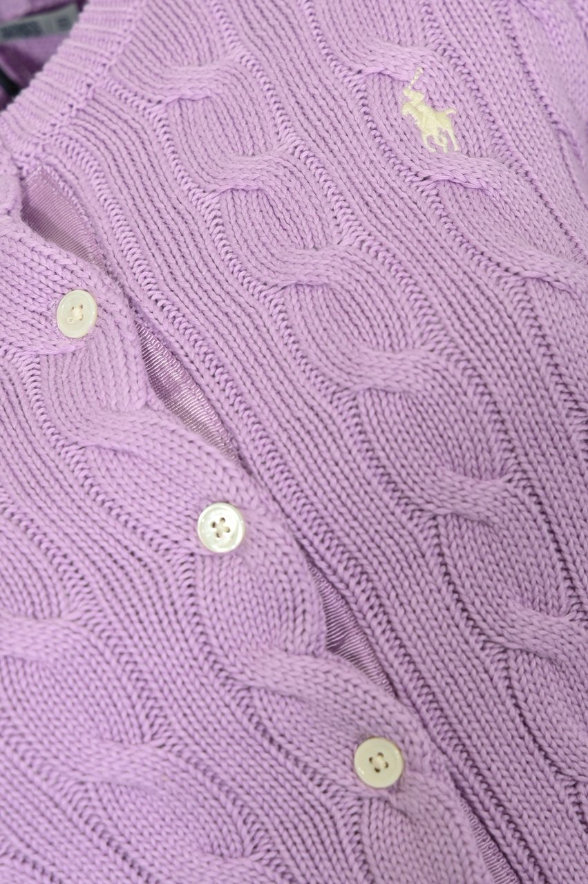 Ralph Lauren Sweaters Purple Paars