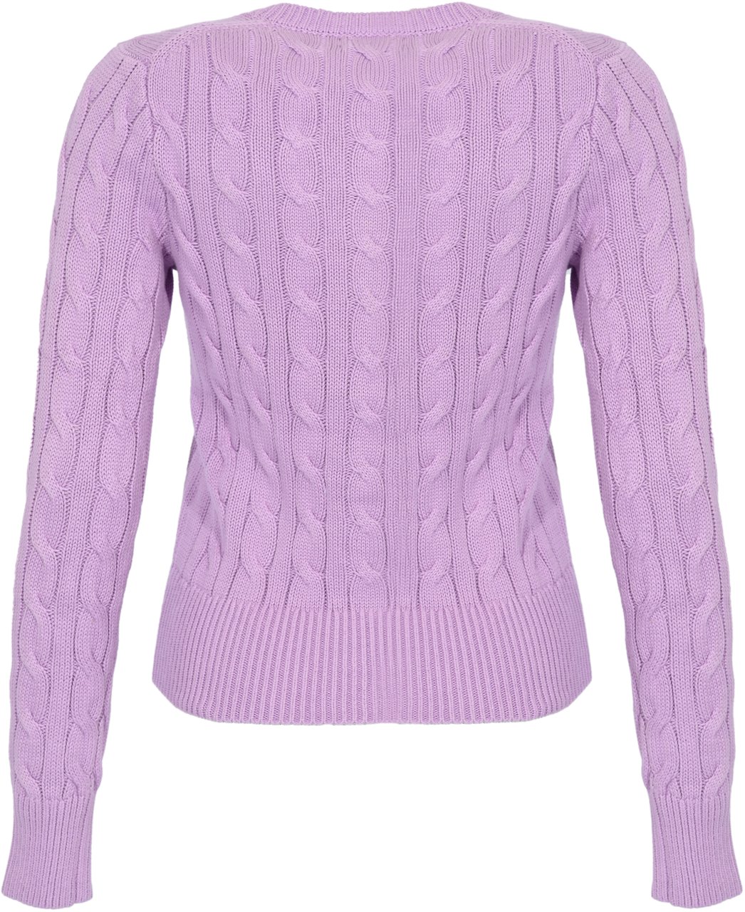 Ralph Lauren Sweaters Purple Paars