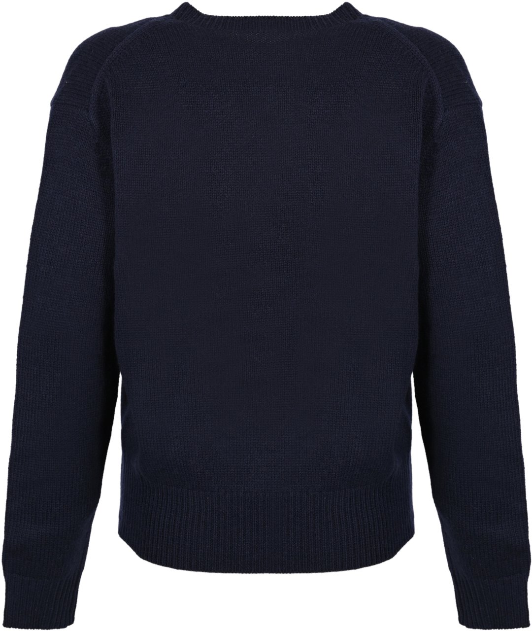 Ralph Lauren Sweaters Blue Blauw