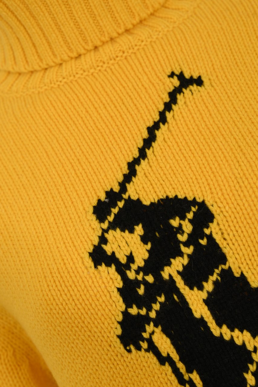 Ralph Lauren Sweaters Red Rood