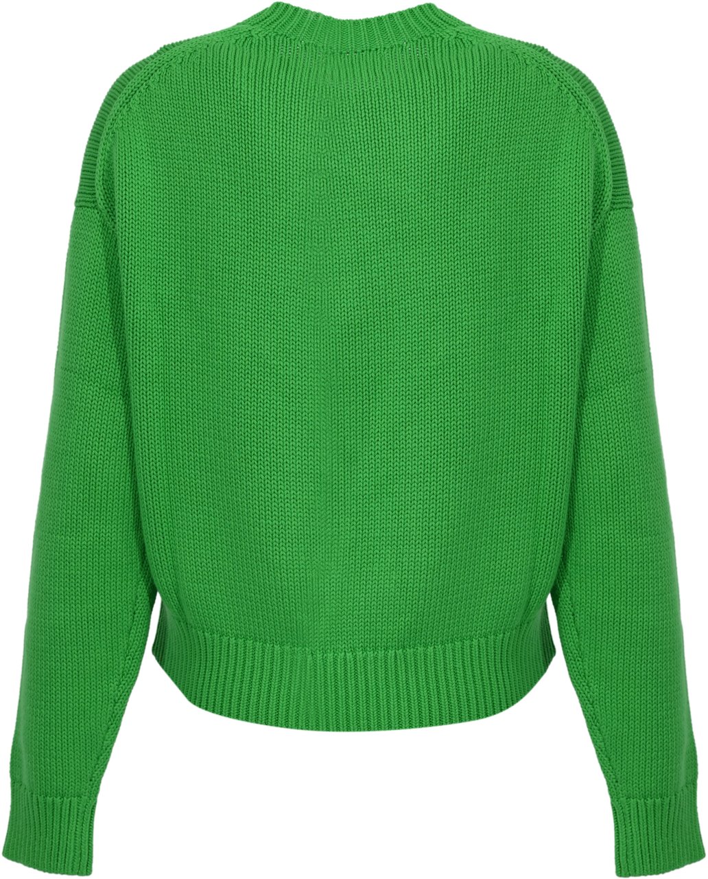 Ralph Lauren Sweaters Green Groen